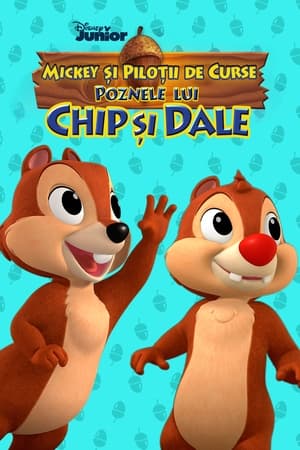 Chip 'n Dale's Nutty Tales poszter