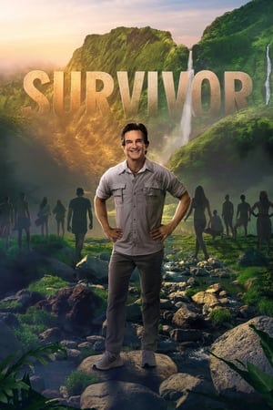 Survivor poszter