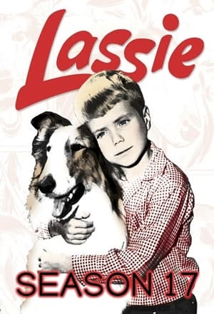 Lassie 17. évad (1970-09-20) poszter