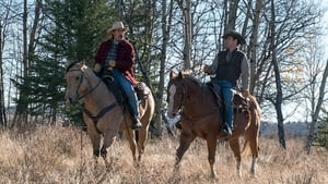 Heartland 11. évad Ep.16 16. epizód