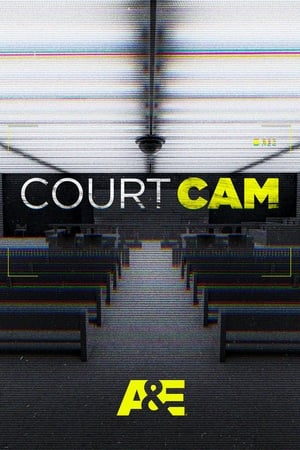 Court Cam poszter