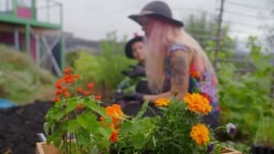 Gardening Australia Junior 1. évad Ep.6 6. epizód