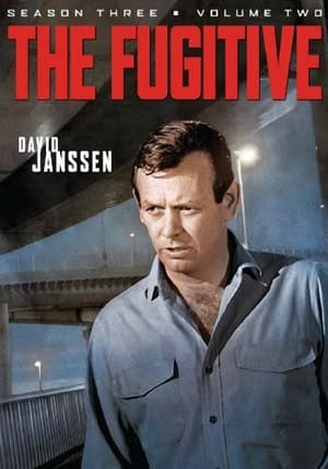 The Fugitive 3. évad (1965-09-14) poszter