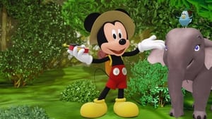 Én és Mickey kép