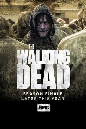 The Walking Dead poszter