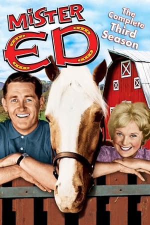 Mister Ed 3. évad (1962-09-27) poszter