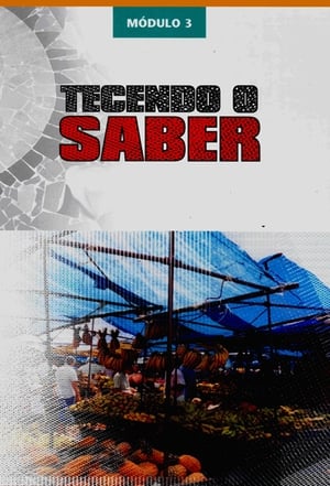 Tecendo o Saber 3. évad (2005-11-16) poszter