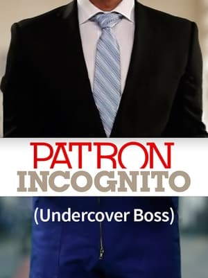 Patron incognito poszter