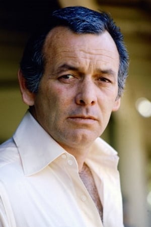 David Janssen profil kép