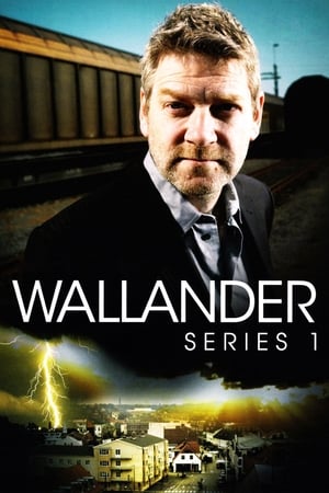 Wallander 1. évad (2008-11-30) poszter