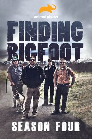 Finding Bigfoot 4. évad (2013-11-10) poszter