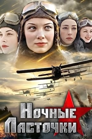 Ночные ласточки 1. évad (2013-01-28) poszter