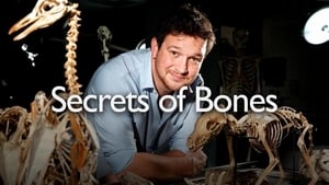 Secrets of Bones kép