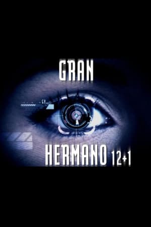 Gran hermano 13. évad () poszter