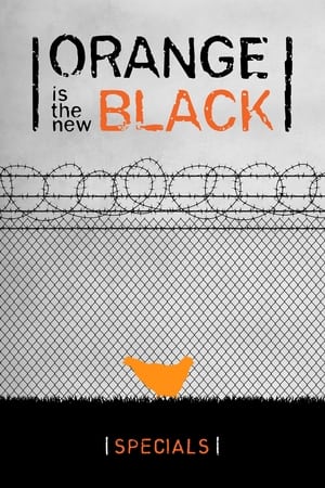 Orange Is the New Black Speciális epizódok (2016-04-27) poszter