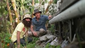 Gardening Australia 32. évad Ep.36 36. epizód