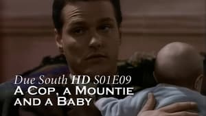 Due South 1. évad Ep.9 9. epizód