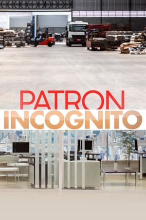 Patron incognito poszter