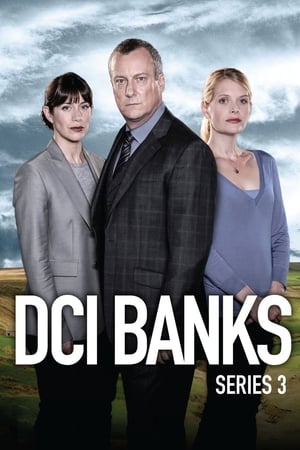 DCI Banks 3. évad (2014-02-03) poszter