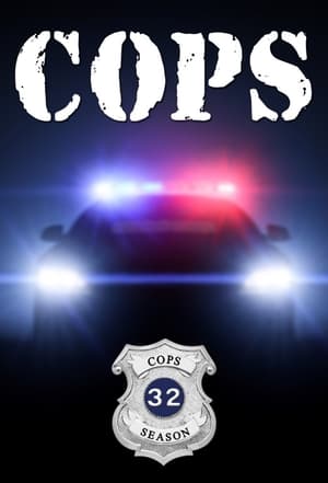 Cops 32. évad (2019-06-05) poszter