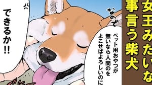 世界の終わりに柴犬と 1. évad Ep.39 39. epizód