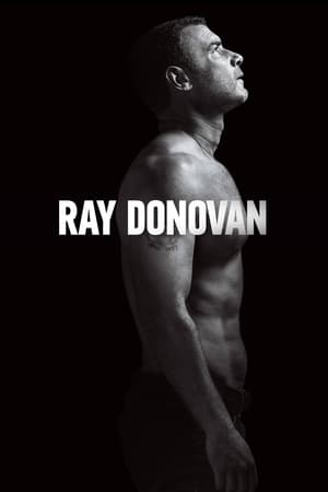 Ray Donovan poszter