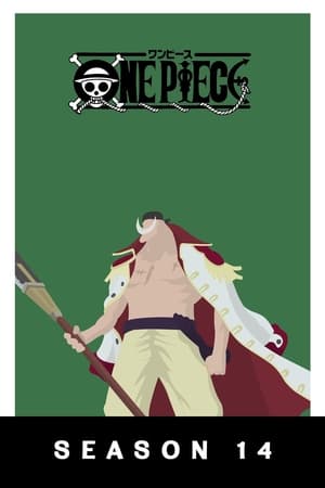 One Piece 14. évad () poszter