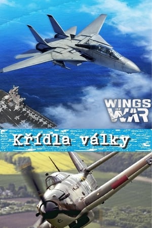 Wings of War poszter