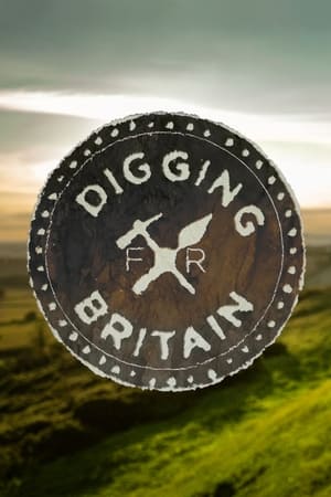 Digging for Britain poszter