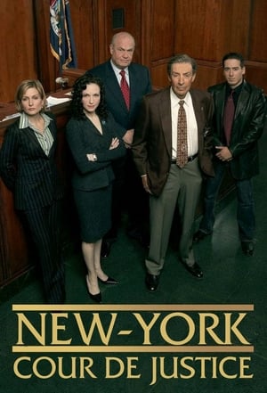 Law & Order: Trial by Jury poszter