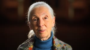 Kedves... 1. évad Ep.7 Jane Goodall