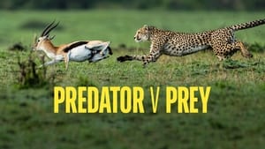 Predator v Prey kép