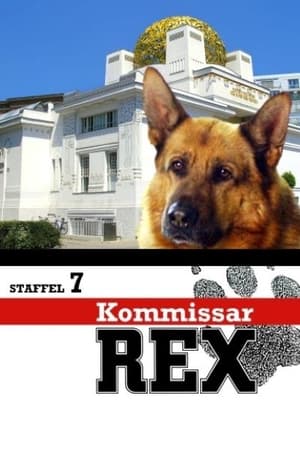 Rex felügyelő 7. évad (2001-03-28) poszter