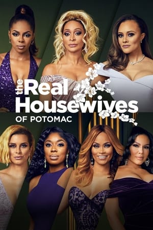 The Real Housewives of Potomac 6. évad (2021-07-11) poszter