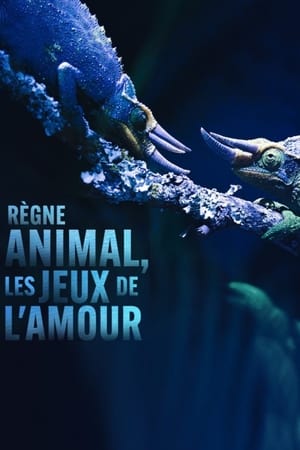 Règne animal, les jeux de l'amour 1. évad (2022-02-08) poszter