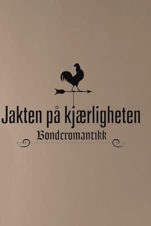 Jakten på kjærligheten poszter