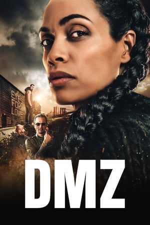 DMZ poszter