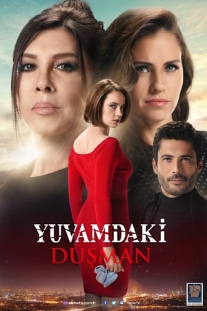 Yuvamdaki Düşman