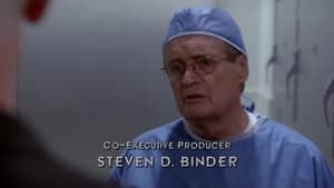 NCIS 10. évad Ep.12 Shiva