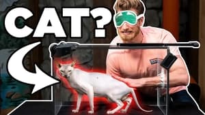 Good Mythical Morning 15. évad Ep.118 118. epizód