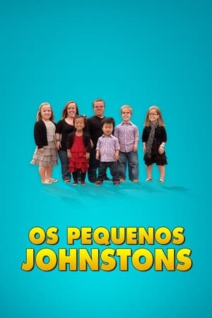 7 Little Johnstons poszter