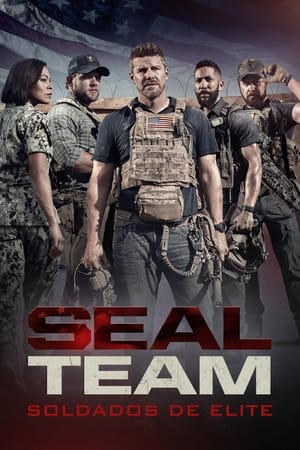 SEAL Team poszter