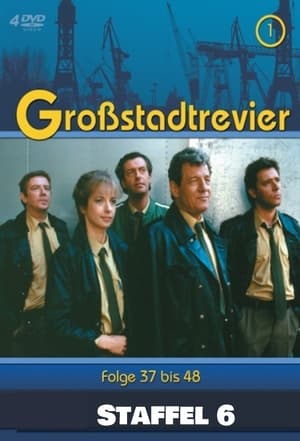 Großstadtrevier 6. évad (1995-01-10) poszter