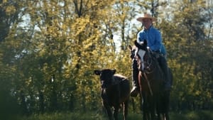 Colonia Dignidad: Una secta alemana en Chile 1. évad Ep.6 6. epizód