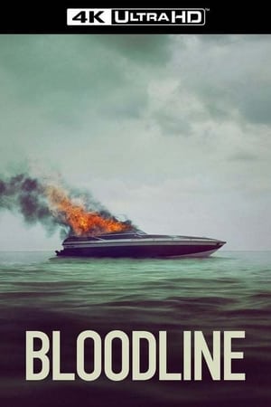 Bloodline - A vérvonal árnyai poszter