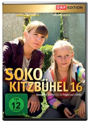 SOKO Kitzbühel 16. évad (2017-03-07) poszter