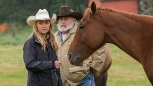 Heartland 8. évad Ep.10 10. epizód