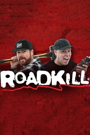 Roadkill poszter