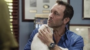 Hawaii Five-0 9. évad Ep.21 21. epizód