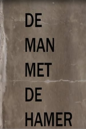 De Man Met De Hamer